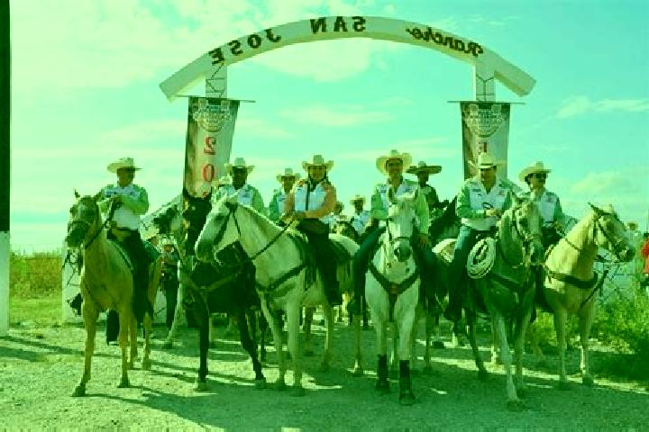 Escorts San Juan de Sabinas, Mexico — Local Companions