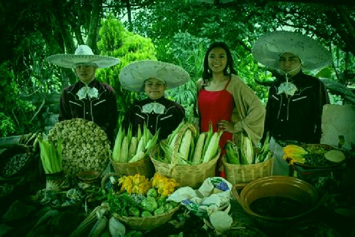 Escorts San Juan Ixtayopan, Mexico — Local Companions