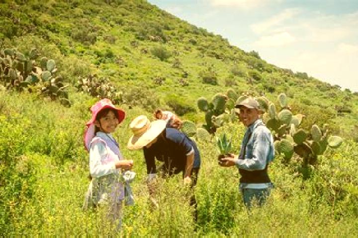 Escorts San Juan Zitlaltepec, Mexico — Local Companions
