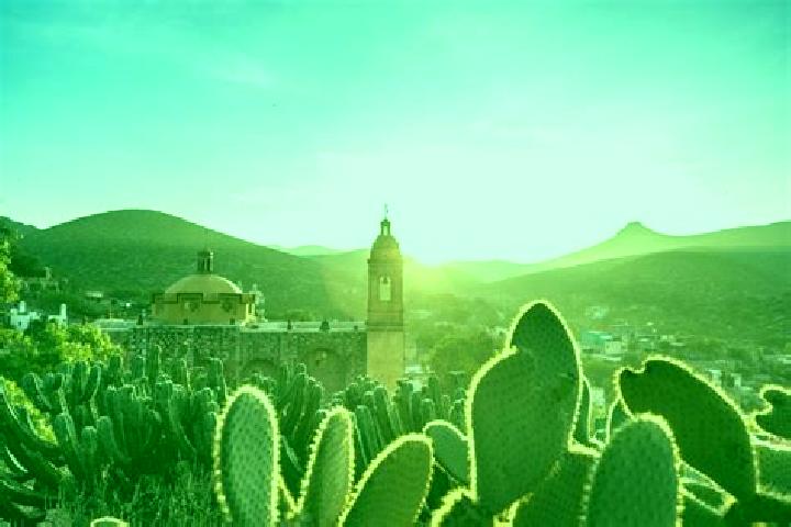 Escorts San Luis, Mexico — Local Companions