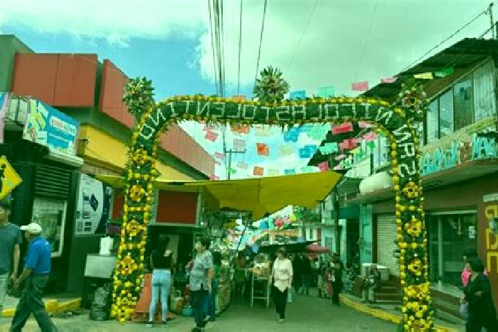 Escorts San Martin Ahuatepec, Mexico — Local Companions