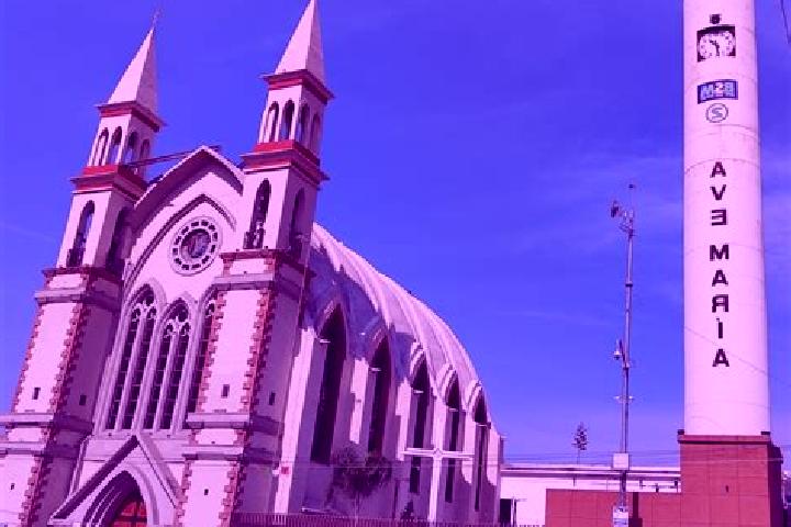 Escorts San Martin Zacatepec, Mexico — Local Companions