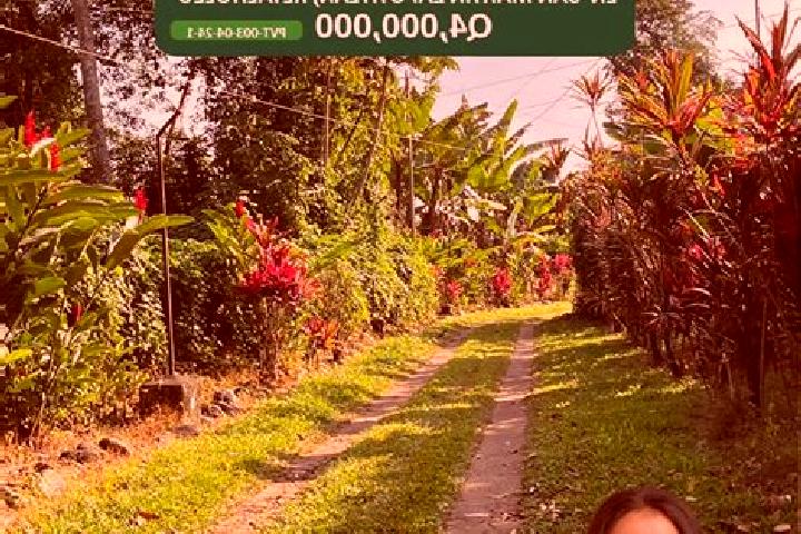Escorts San Martin Zapotitlan, Guatemala — Local Companions