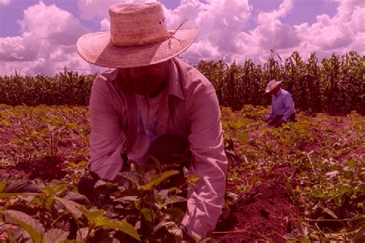 Escorts San Mateo Coapexco, Mexico — Local Companions