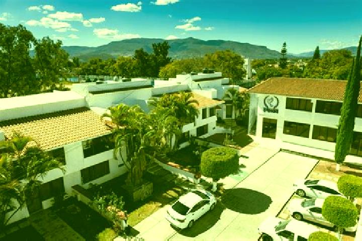 Escorts San Mateo Nejapam, Mexico — Local Companions
