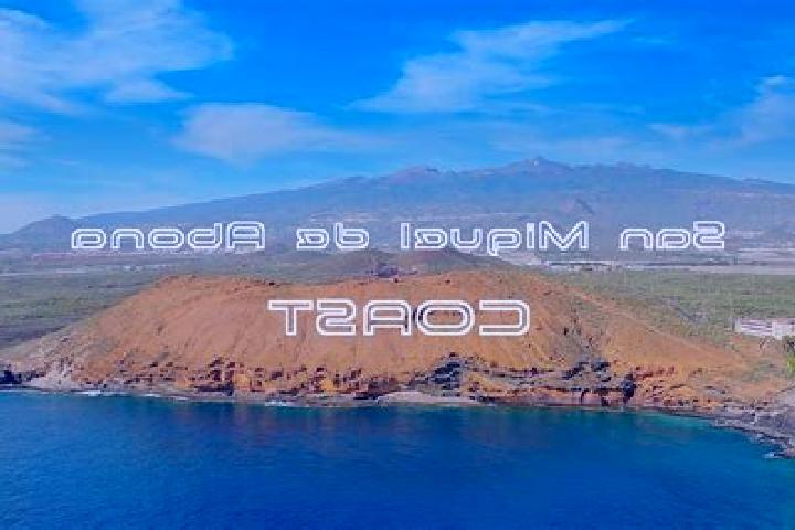 Escorts San Miguel De Abona, Spain — Local Companions