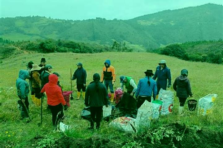 Escorts San Pablo de Tenta, Ecuador — Local Companions