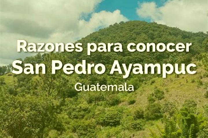 Escorts San Pedro Ayampuc, Guatemala — Local Companions