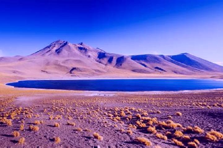 Escorts San Pedro de Atacama, Chile — Local Companions