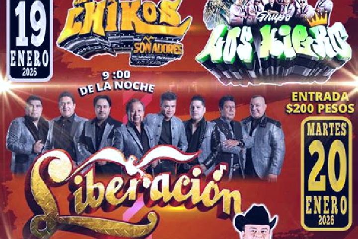 Escorts San Pedro Tlacotepec, Mexico — Local Companions