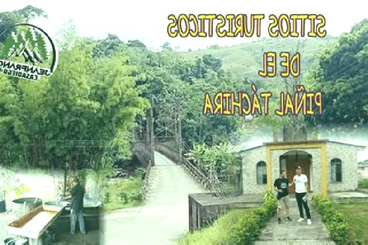Escorts San Rafael del Pinal, Venezuela — Local Companions