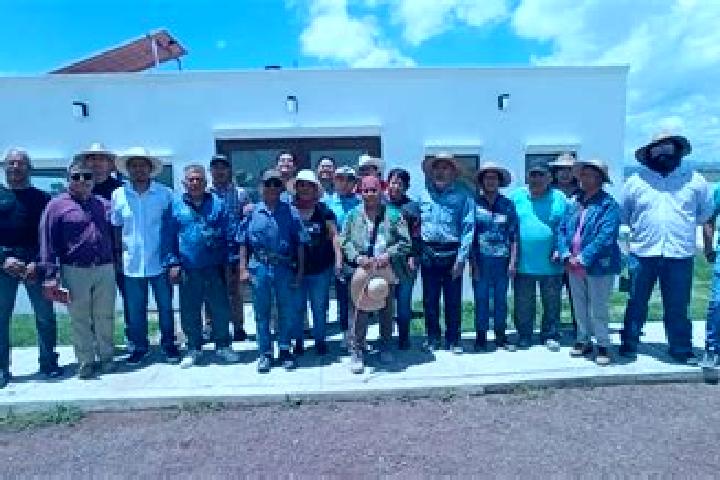 Escorts San Salvador Atenco, Mexico — Local Companions