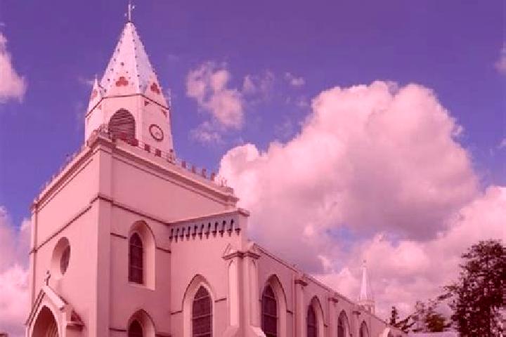 Escorts San Vicente de Moravia, Costa Rica — Local Companions