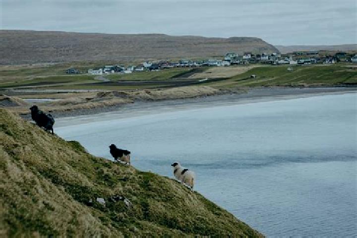 Escorts Sandur, Faroe Islands — Local Companions