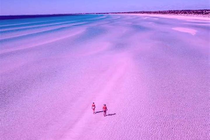 Escorts Sandy Beach, Australia — Local Companions