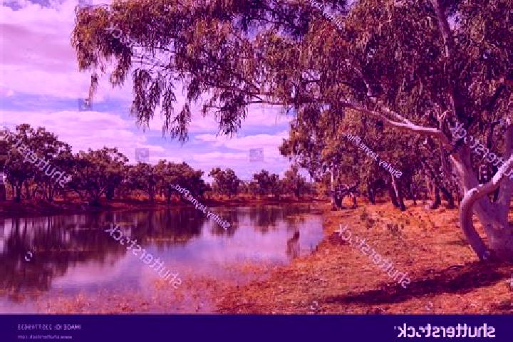 Escorts Sandy Creek, Australia — Local Companions
