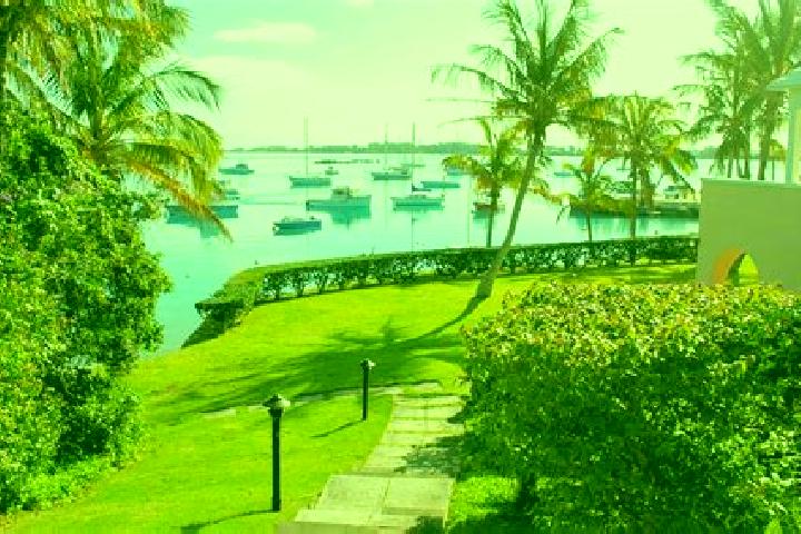 Escorts Sandys Parish, Bermuda — Local Companions