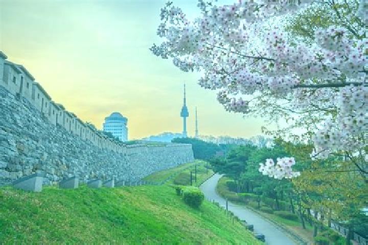 Escorts Sangju, South Korea — Local Companions