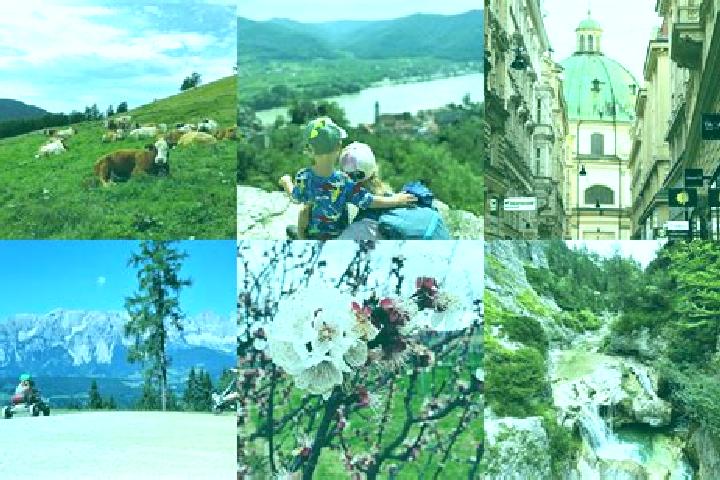 Escorts Sankt Georgen bei Salzburg, Austria — Local Companions