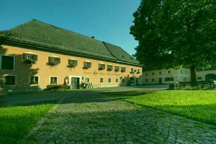 Escorts Sankt Konrad, Austria — Local Companions