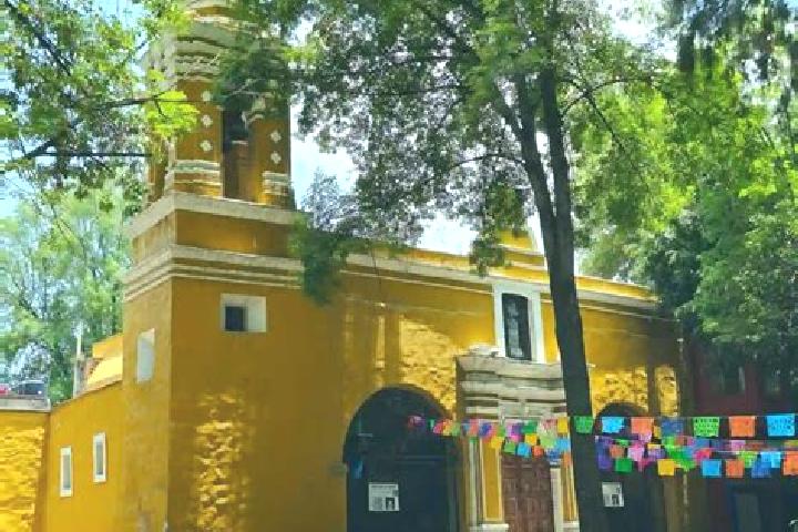 Escorts Santa Catarina, Mexico — Local Companions