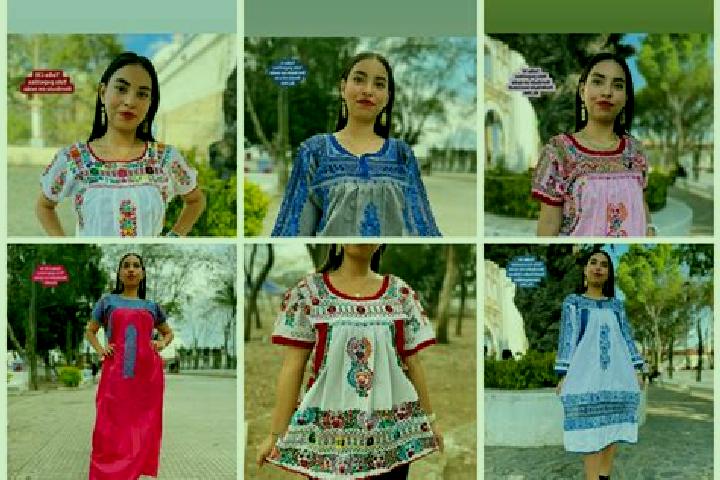 Escorts Santa Maria Albarradas, Mexico — Local Companions