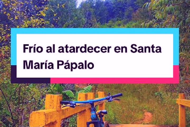 Escorts Santa Maria Papalo, Mexico — Local Companions