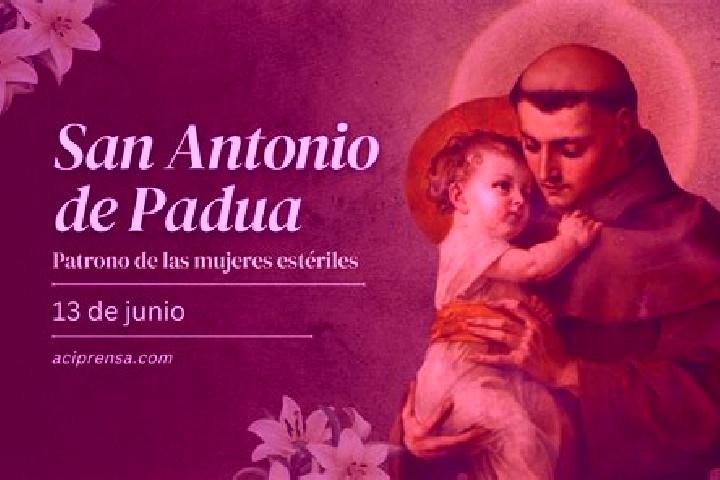 Escorts Santo Antonio de Padua, Brazil — Local Companions