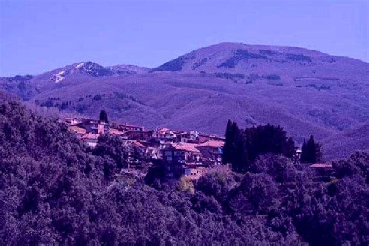 Escorts Santo Stefano in Aspromonte, Italy — Local Companions