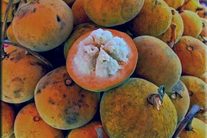 Escorts Santol, Philippines — Local Companions