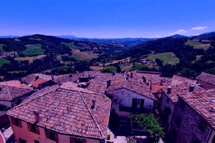 Escorts Sant Orsola Terme, Italy — Local Companions