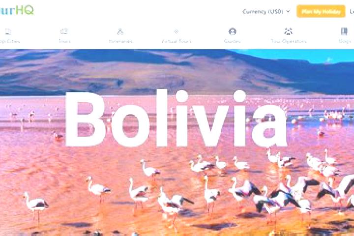 Escorts Sapirangui, Bolivia — Local Companions