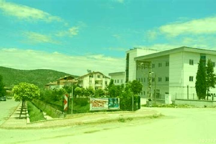 Escorts Sarayduezue, Turkey — Local Companions