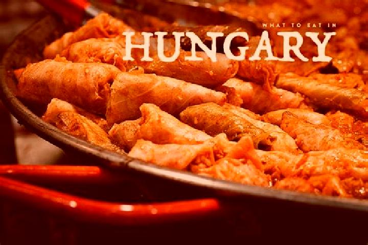 Escorts Sarbogard, Hungary — Local Companions