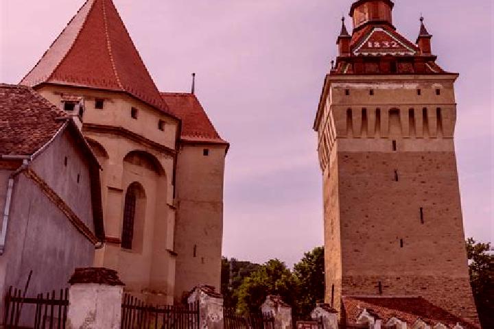 Escorts Saschiz, Romania — Local Companions