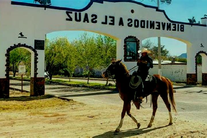 Escorts Sauz de Guadalupe, Mexico — Local Companions