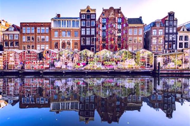 Escorts Schalkwijk, Netherlands — Local Companions