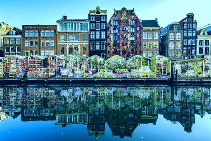 Escorts Scharn, Netherlands — Local Companions