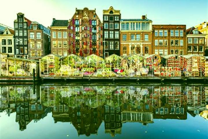 Escorts Scharsterbrug, Netherlands — Local Companions