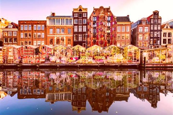 Escorts Scheemda, Netherlands — Local Companions