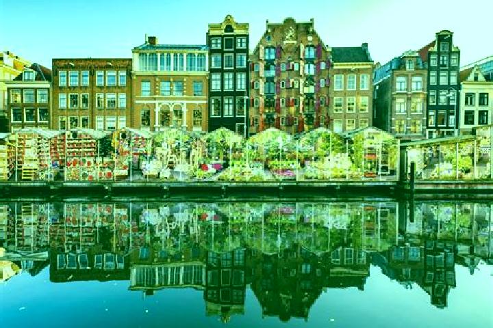Escorts Scheveningen, Netherlands — Local Companions