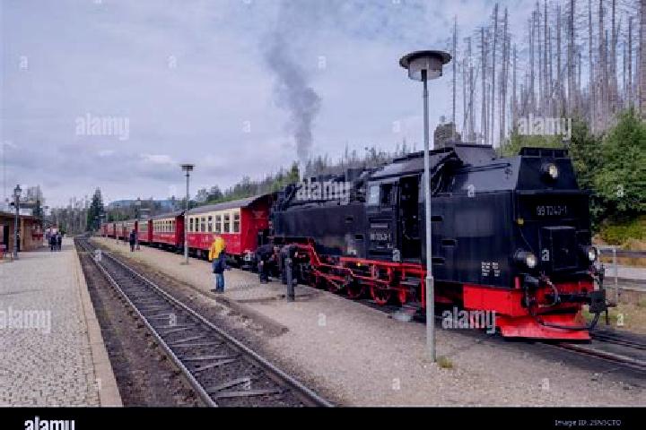 Escorts Schierke, Germany — Local Companions