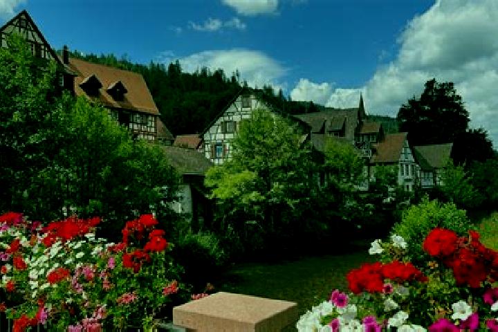 Escorts Schiltach, Germany — Local Companions