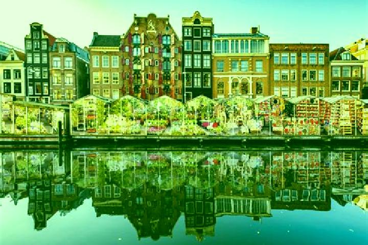 Escorts Schinnen, Netherlands — Local Companions
