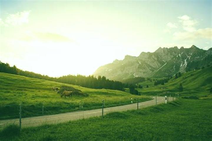 Escorts Schoetz, Switzerland — Local Companions