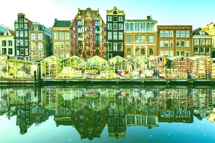 Escorts Schoonoord, Netherlands — Local Companions