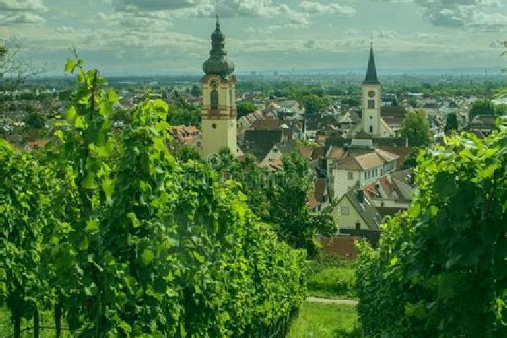 Escorts Schriesheim, Germany — Local Companions