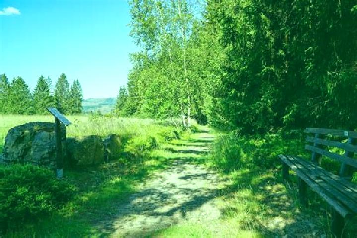 Escorts Schulenberg im Oberharz, Germany — Local Companions