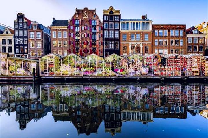 Escorts Schuttersveld, Netherlands — Local Companions