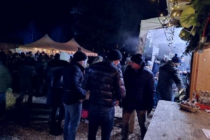 Escorts Schwarzau am Steinfeld, Austria — Local Companions